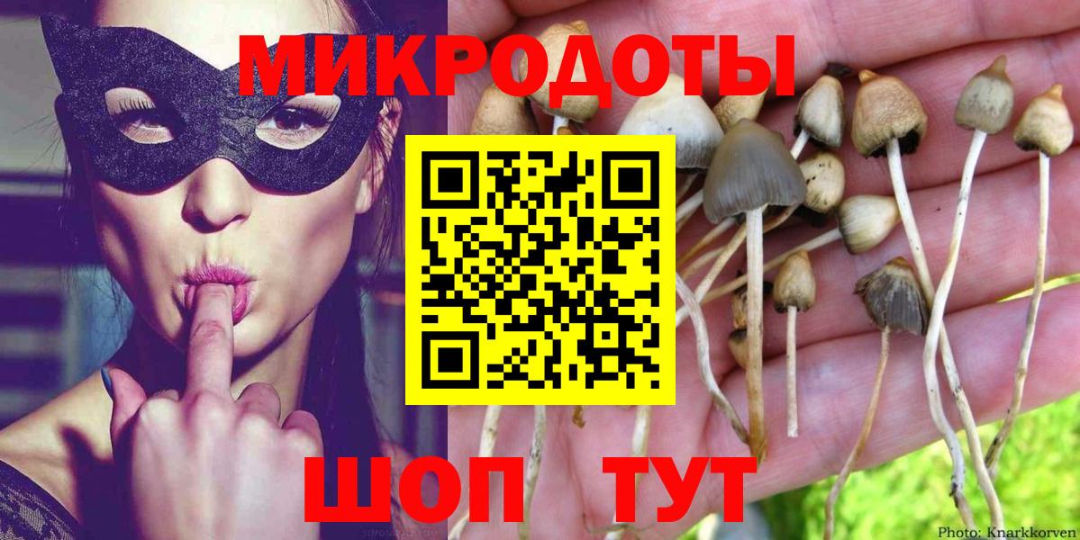Мегион  Псилоцибиновые грибы Cubensis  Вход с VPN 